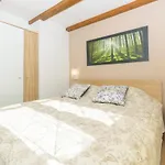 Spacious Guran Vikendica
