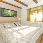 Vikendica Spacious Guran Vodnjan